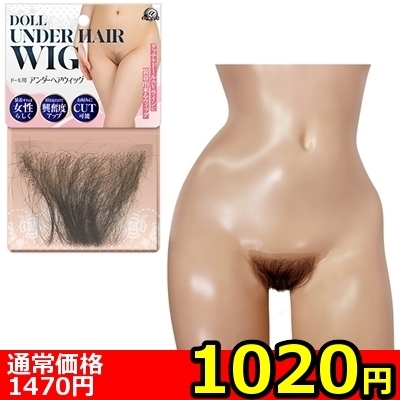 yPOQO~ʌzh[pA_[wAEBbOllP_聄ij